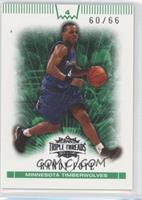 Randy Foye #/66