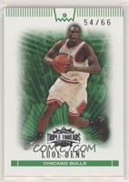 Luol Deng #/66