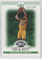 David West #/66