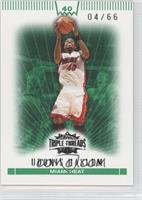 Udonis Haslem #/66