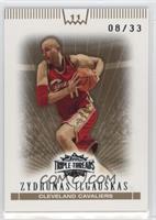 Zydrunas Ilgauskas #/33