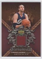 Zydrunas Ilgauskas #/100