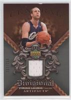 Zydrunas Ilgauskas [Noted] #/250