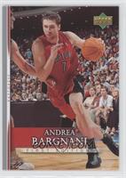 Andrea Bargnani