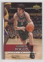 Andrew Bogut