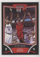 Chris Bosh #/499