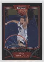 Hedo Turkoglu