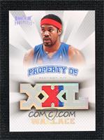 Rasheed Wallace #/1