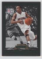 Jerryd Bayless [Noted] #/25