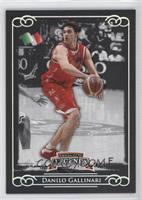 Danilo Gallinari #/199