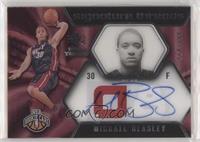 Michael Beasley #/399