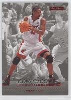 Udonis Haslem #/50