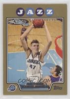 Andrei Kirilenko [EX to NM] #/2,008