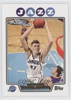 Andrei Kirilenko