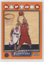 Andrea Bargnani #/499