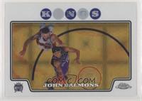 John Salmons #/288