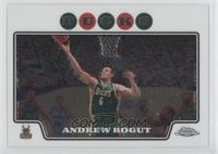 Andrew Bogut