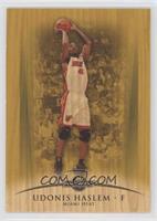 Udonis Haslem #/175