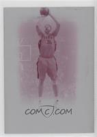 Rasheed Wallace #/1