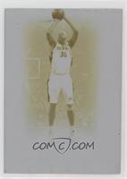 Rasheed Wallace #/1