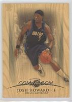 Josh Howard #/299