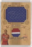 Eric Gordon #/50