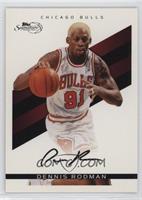 Dennis Rodman #/289