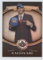 Danilo Gallinari #/2,008