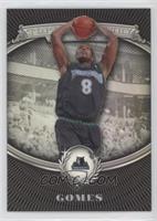 Ryan Gomes #/199