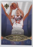 David Lee #/499