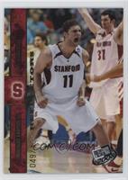 Brook Lopez #/100