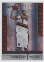 Marcus Camby [EX to NM] #/100