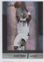 Jason Terry #/100