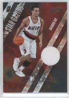 Brandon Roy #/100