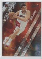 Andrea Bargnani #/100