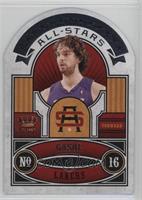 Pau Gasol