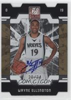 Wayne Ellington #/24