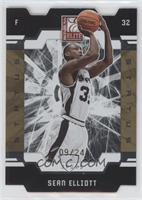 Sean Elliott #/24