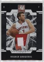 Andrea Bargnani #/15