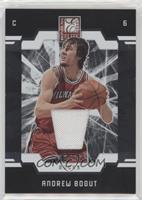 Andrew Bogut #/99