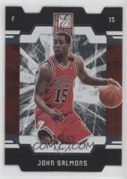 John Salmons #/85