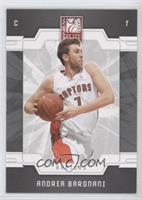 Andrea Bargnani