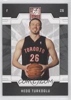 Hedo Turkoglu