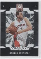 Andrea Bargnani