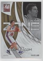 David Lee #/100