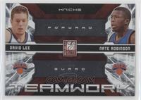 David Lee, Nate Robinson #/249