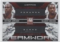 Antawn Jamison, Gilbert Arenas #/249