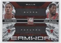 Derrick Rose, John Salmons #/249