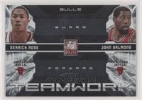 Derrick Rose, John Salmons