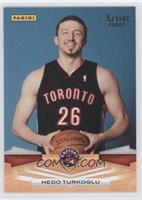 Hedo Turkoglu #/199